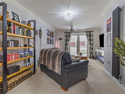 Picture 8
